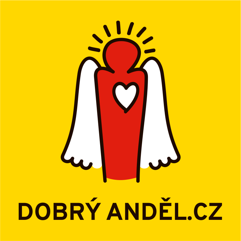 Představení Nadace Dobrý Anděl