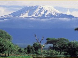 kilimanjaro